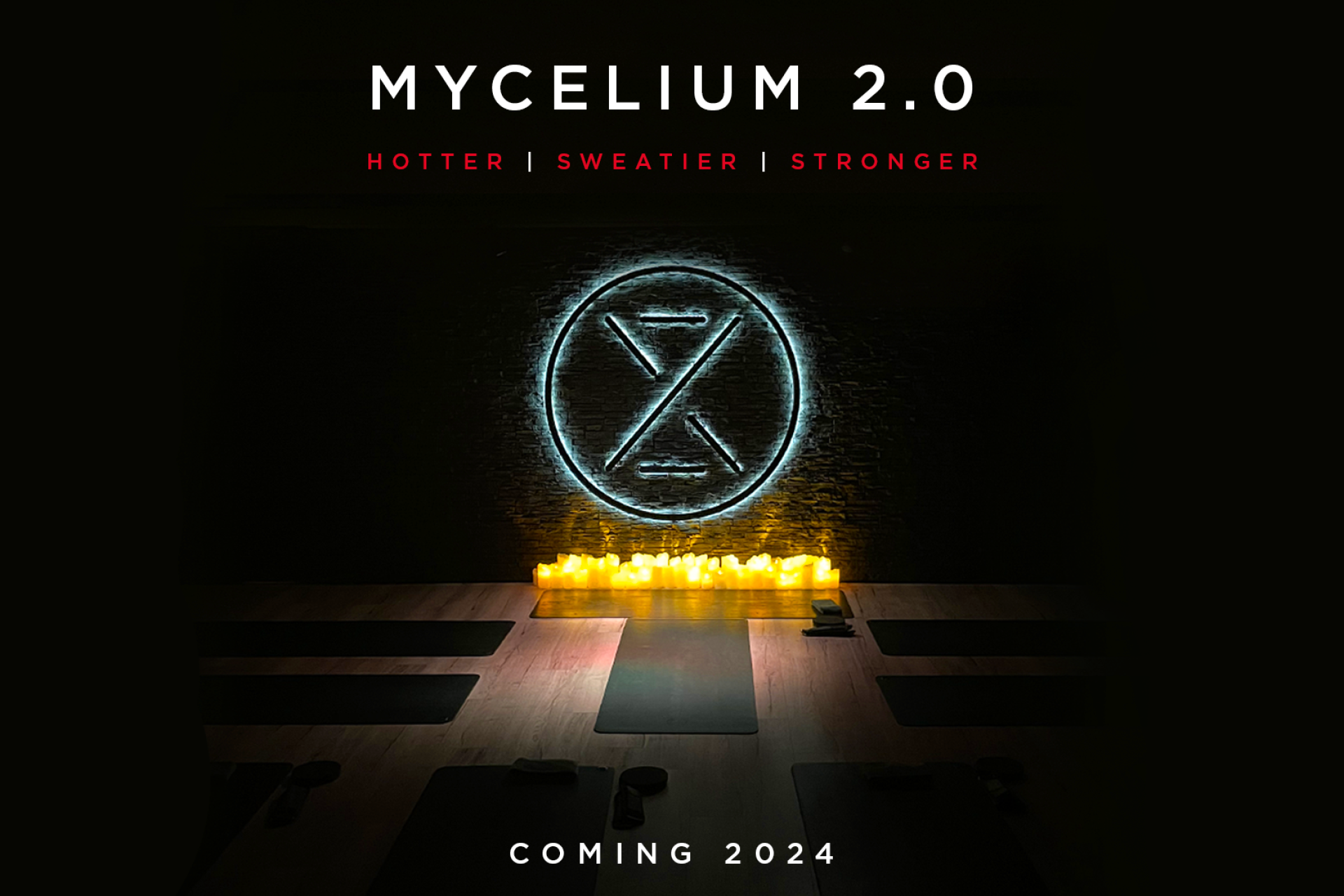 Mycelium2